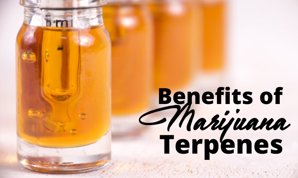 benefits marijuana terpenes