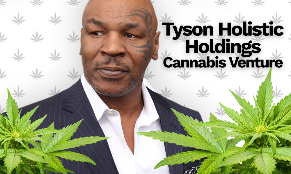 tyson holistic holdings cannabis venture