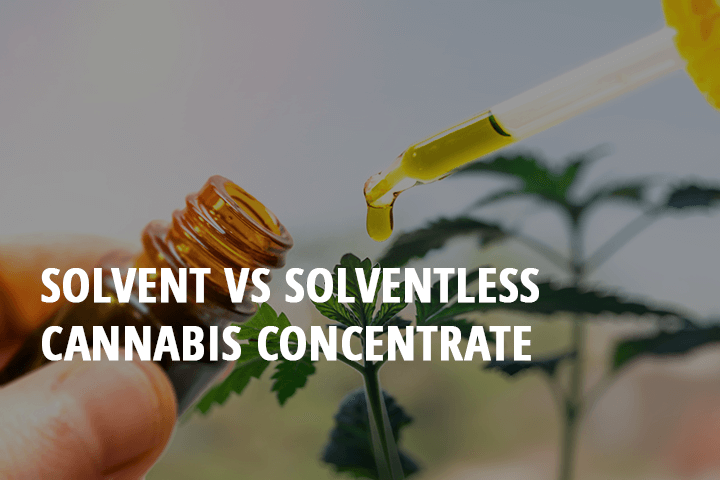 solvent cannabis concentrates