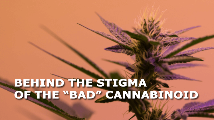 what are the benefits of thc
