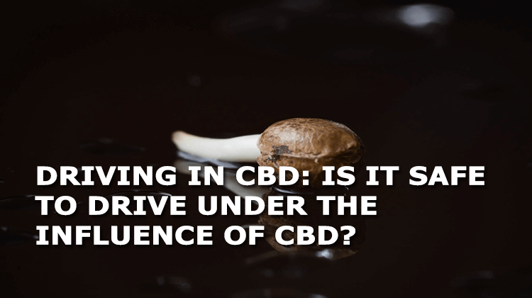 driving in cbd is it safe to drive under the influence of cbd