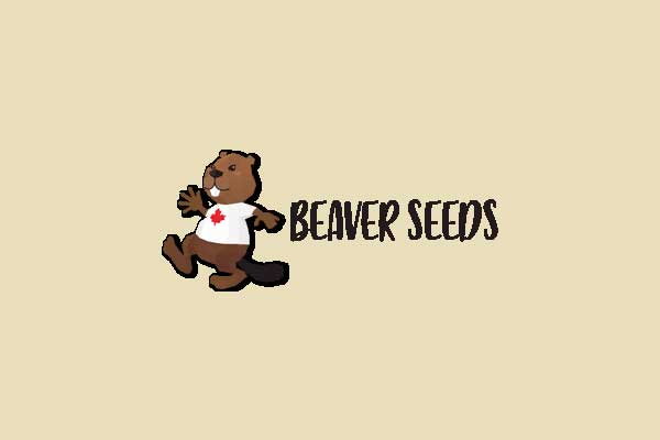 Beaver