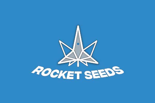Rocket Seeds