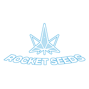 Rocket Seeds Blue Glow