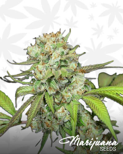 Death Star