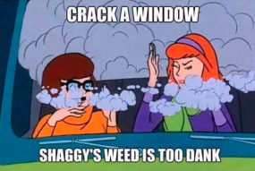 Crack A Window Shaggy's Weed os too Dank