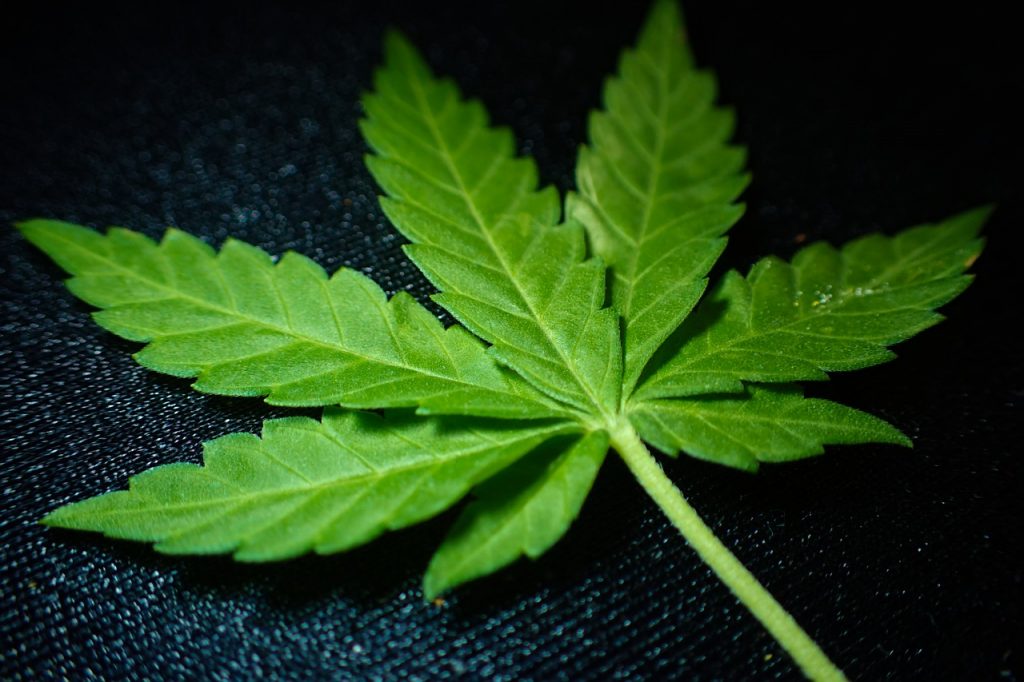 weed memes